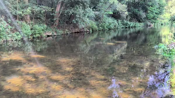 Pohled na objekt od řeky — Svratka teče přímo pod budovou